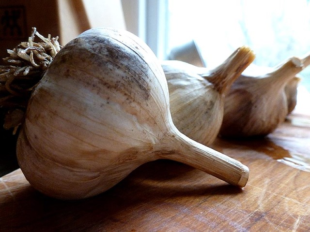 Whole steam-roasted garlic
