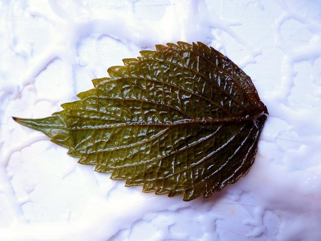 A soy-pickled shiso leaf positioned on caul fat