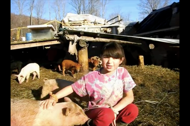 Little girl Hope and little piglets
